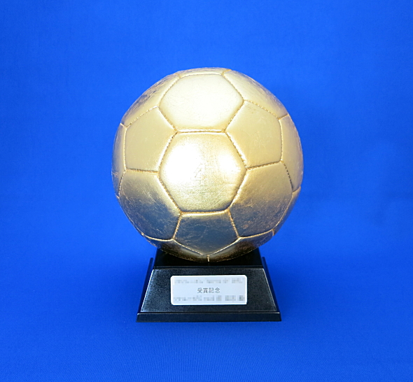 goldsoccerball[1].jpg